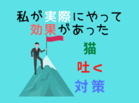 私が実際にやって効果があった猫が吐くときの対策