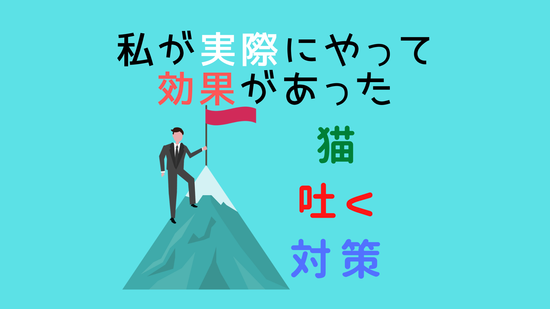 私が実際にやって効果があった猫が吐くときの対策