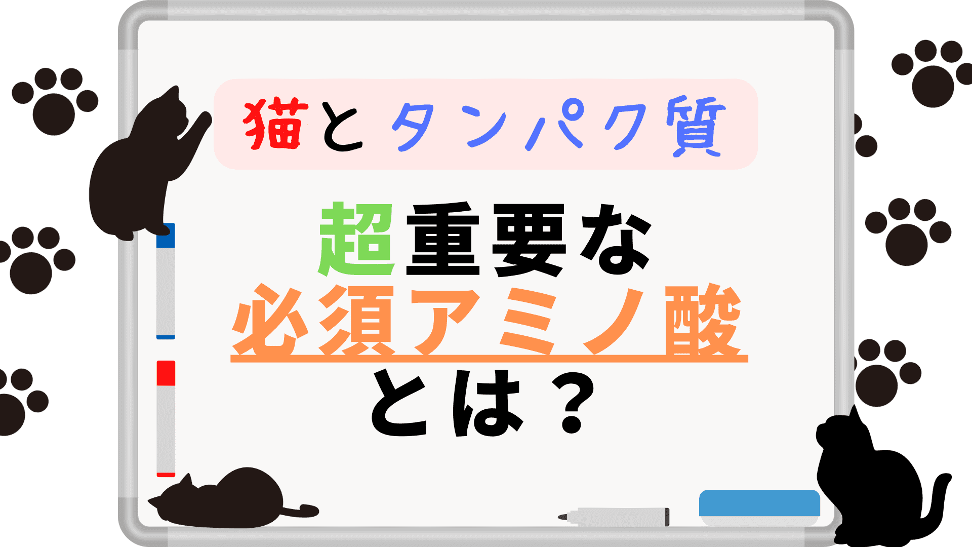 猫とタンパク質　超重要な必須アミノ酸とは？