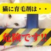 猫に育毛剤は危険です‼