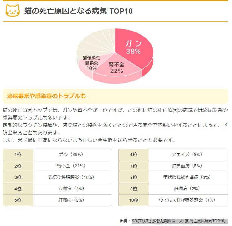 猫の死亡原因TOP10