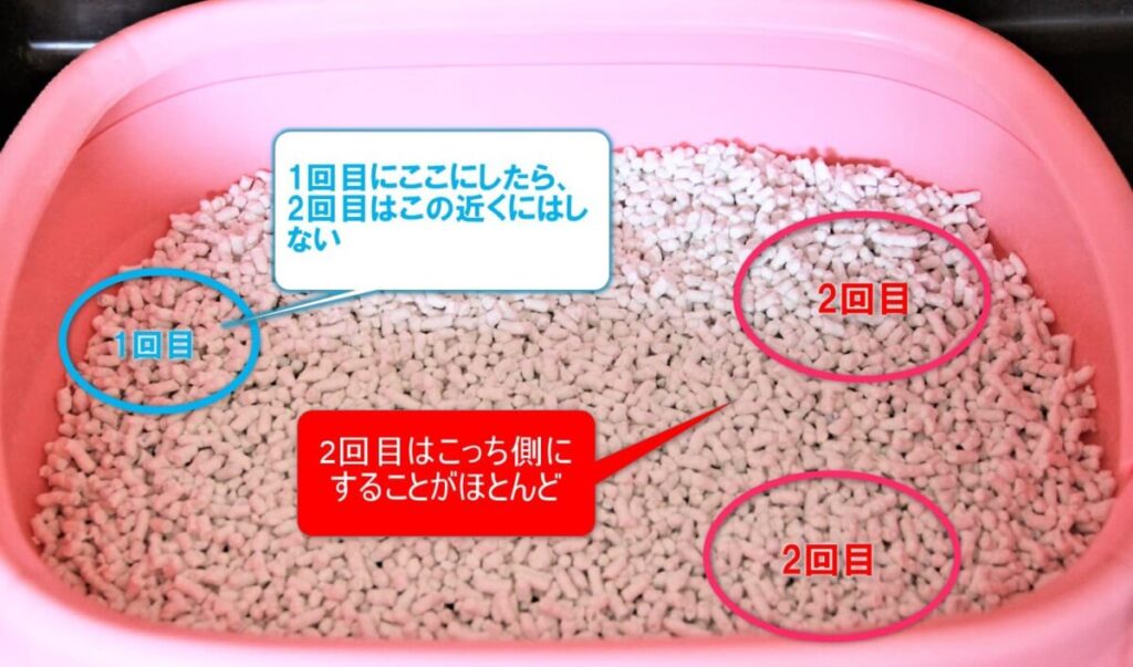 猫のトイレのやり方図解