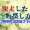 タイトル：脱走した猫の探し方｜3つのステップで解説