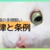 猫の多頭飼い｜法律と条例