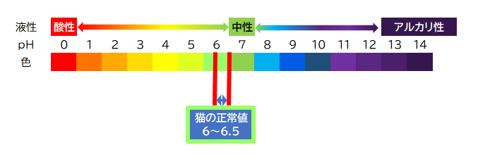 猫のpH イラスト