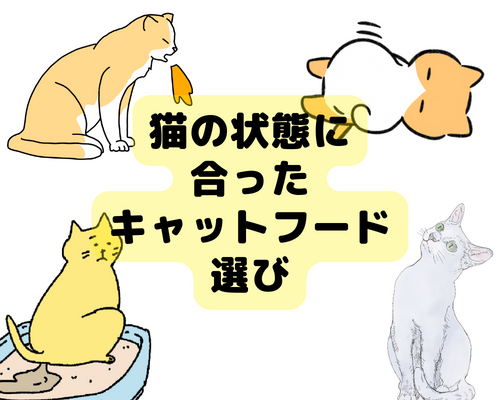 様々な状態の猫